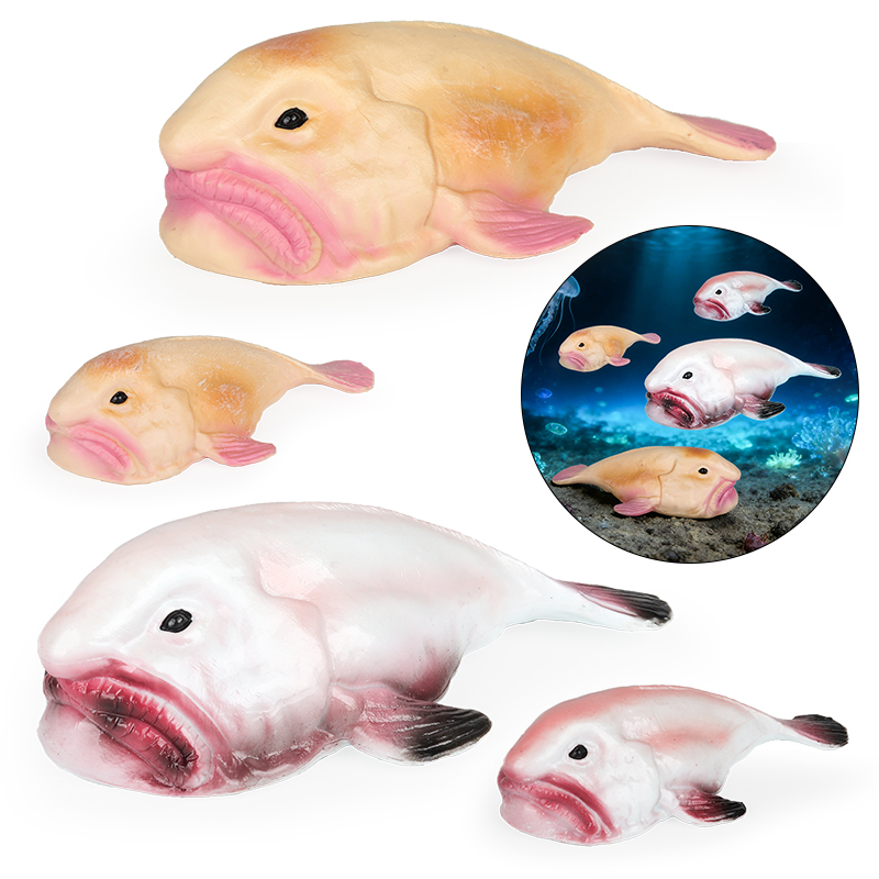 Oenux Australia Ikan Laut Dala - Kids Education In Australia ulasan dan harga