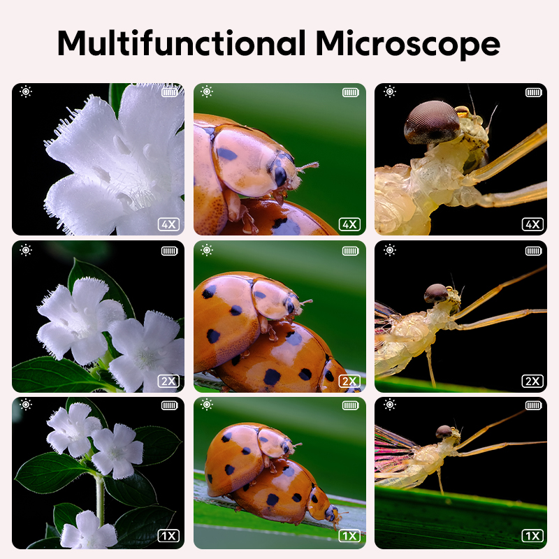 Mikroskop Optik Anak Mini deng - Kids Educational Videos ulasan dan harga